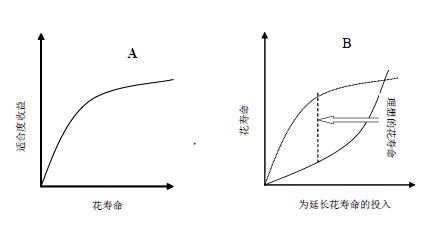 2009-02-18-01