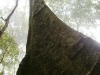 2010-01-28-01